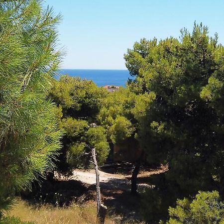 Fistiki Rooms Agia Marina  Экстерьер фото