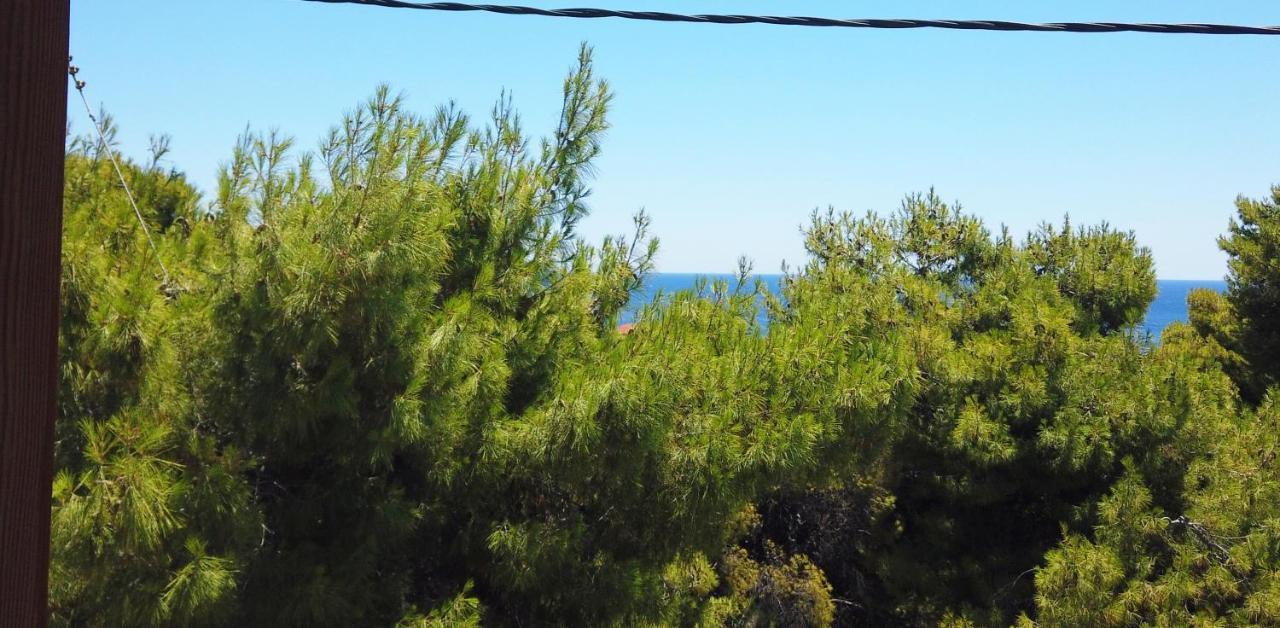 Fistiki Rooms Agia Marina  Экстерьер фото