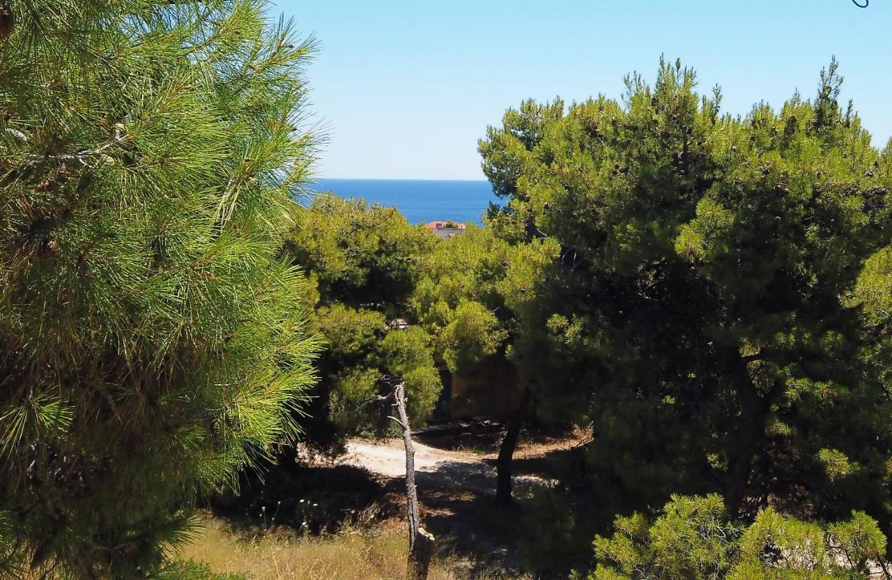Fistiki Rooms Agia Marina  Экстерьер фото