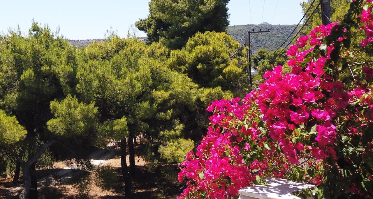 Fistiki Rooms Agia Marina  Экстерьер фото